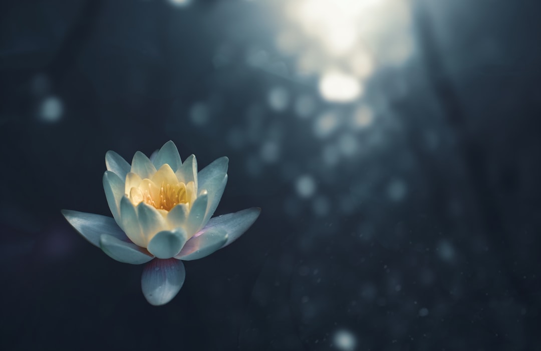Meditation und Achtsamkeit